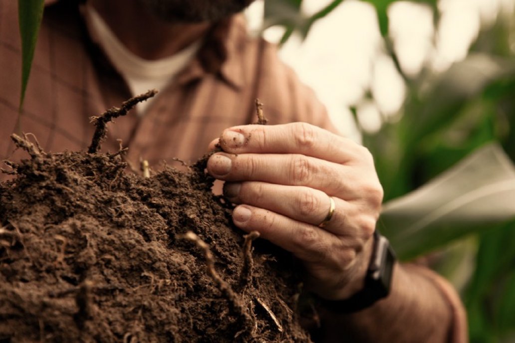 Bayer presenta su enfoque en Sustentabilidad y Huella de Carbono en Aapresid