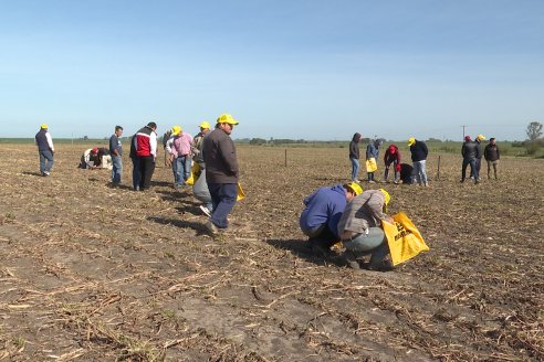 Jornada Dinámica a Campo en Larroque - E.Rios Maquinaria Agricolas - Presentación Sembradora Multiproposito Bertini 40.000