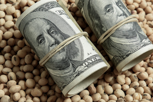 Ponen en marcha un nuevo dólar agro de alcance general