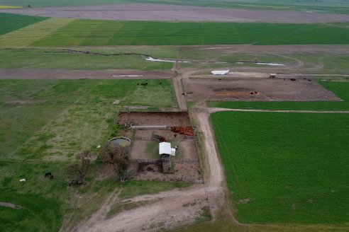 Dia de Campo Cabaña Malaika - Previa Remate Anual 2023 -  8 de Septiembre, Feria Maria Dolores