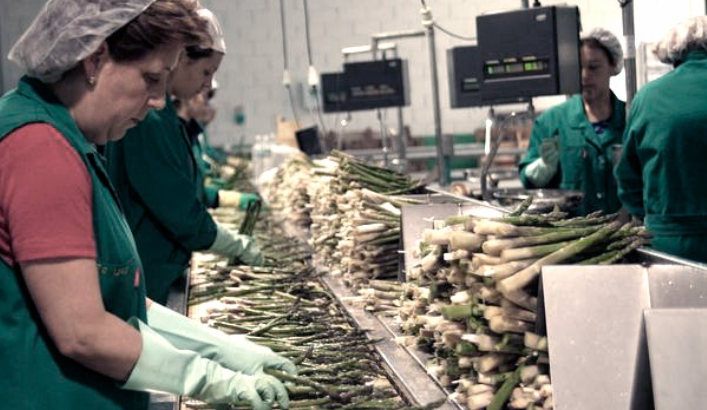 La economía entrerriana crece pero sin generar empleos