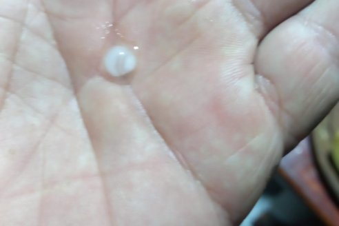 Lluvias de hasta 15 milímetros entonan trigales y pasturas