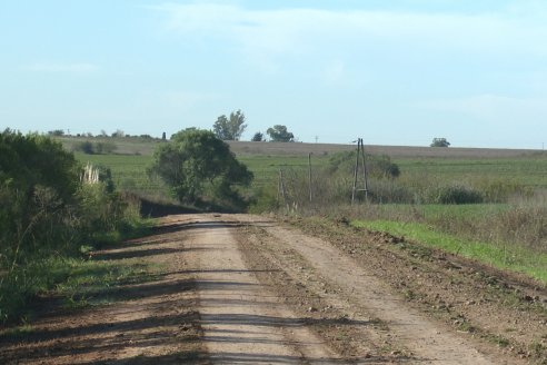 Reccorida por el Municipio de Sauce Pinto - Avances en la obra pública