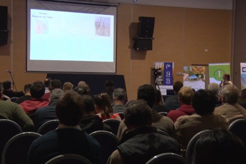 34° Jornada Nacional del Cultivo de Arroz - Centro de Convensiones de Concordia, Entre Ríos