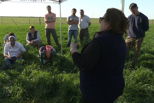 La Fungineta: Gira Regional de Intercambios Técnicos a Campo de Syngenta en Diamante