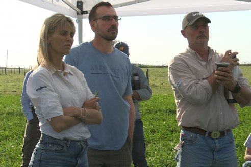 La Fungineta: Gira Regional de Intercambios Técnicos a Campo de Syngenta en Diamante