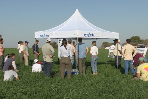 La Fungineta: Gira Regional de Intercambios Técnicos a Campo de Syngenta en Diamante