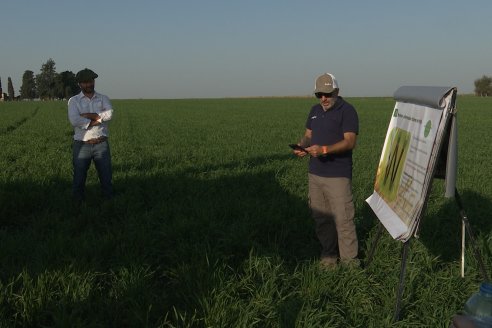 La Fungineta: Gira Regional de Intercambios Técnicos a Campo de Syngenta en Diamante