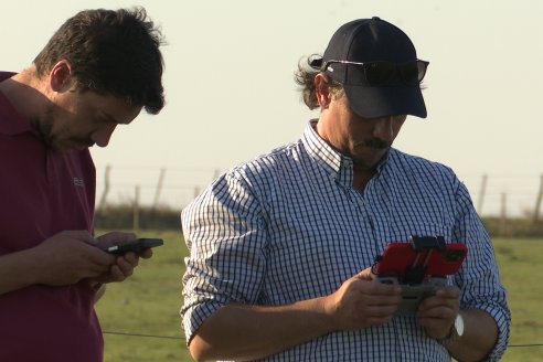 La Fungineta: Gira Regional de Intercambios Técnicos a Campo de Syngenta en Diamante