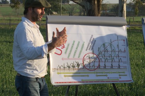 La Fungineta: Gira Regional de Intercambios Técnicos a Campo de Syngenta en Diamante