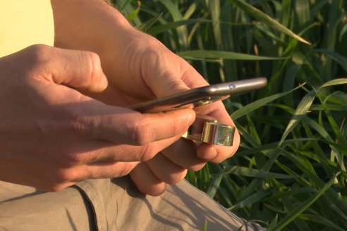 La Fungineta: Gira Regional de Intercambios Técnicos a Campo de Syngenta en Diamante