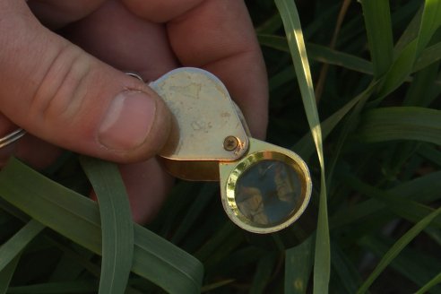 La Fungineta: Gira Regional de Intercambios Técnicos a Campo de Syngenta en Diamante