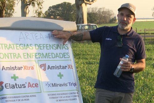 La Fungineta: Gira Regional de Intercambios Técnicos a Campo de Syngenta en Diamante