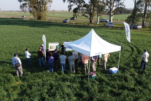 La Fungineta: Gira Regional de Intercambios Técnicos a Campo de Syngenta en Diamante