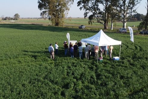 La Fungineta: Gira Regional de Intercambios Técnicos a Campo de Syngenta en Diamante