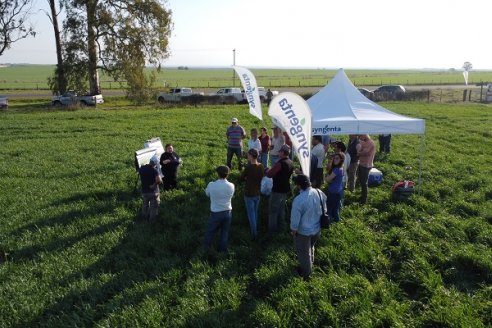 La Fungineta: Gira Regional de Intercambios Técnicos a Campo de Syngenta en Diamante