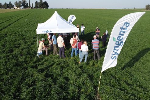 La Fungineta: Gira Regional de Intercambios Técnicos a Campo de Syngenta en Diamante