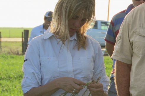 La Fungineta: Gira Regional de Intercambios Técnicos a Campo de Syngenta en Diamante