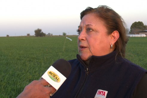 La Fungineta: Gira Regional de Intercambios Técnicos a Campo de Syngenta en Diamante