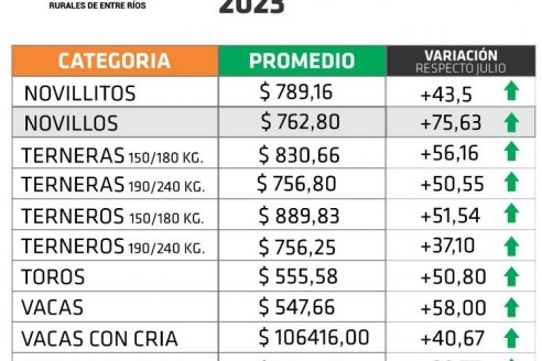 Hacienda: en agosto hubo subas de precios que tocaron el 75%