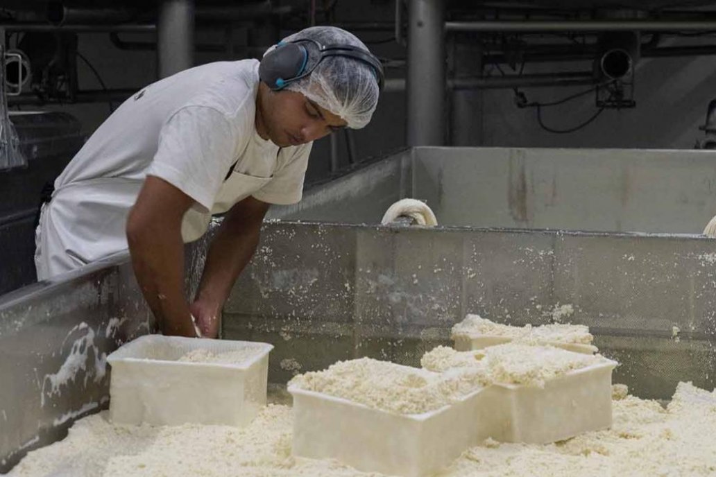 El primer embarque fue de 12 toneladas de queso mozzarella.