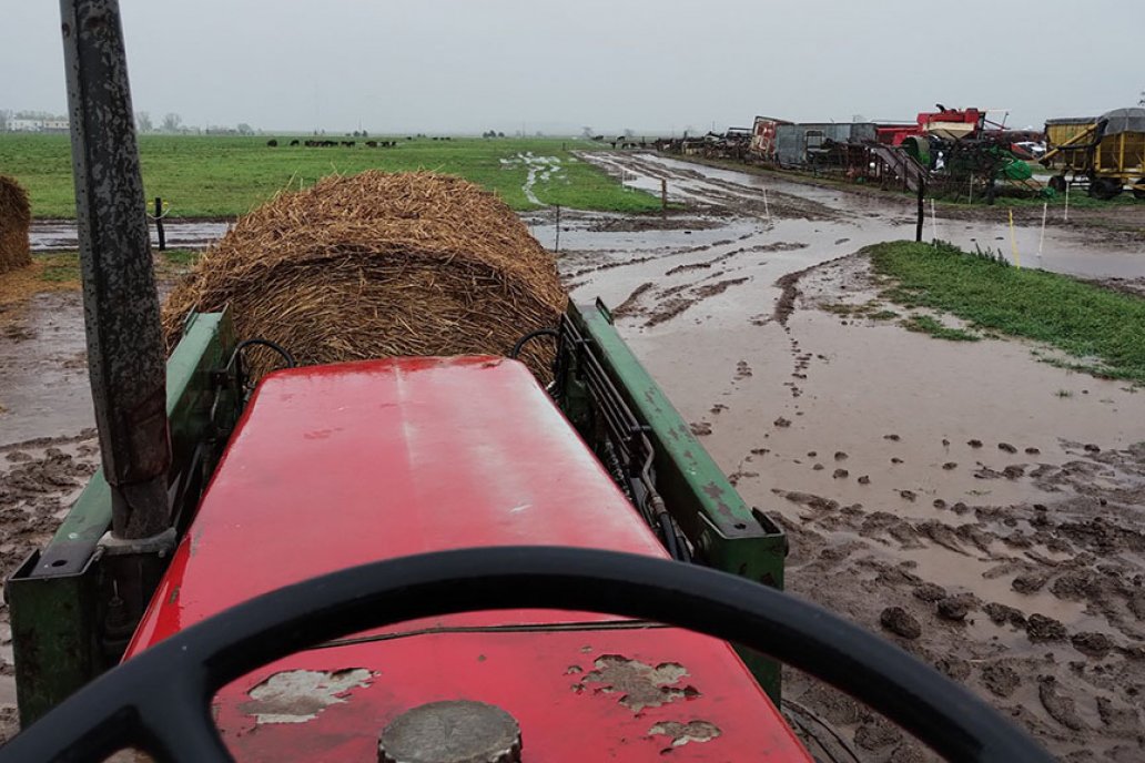 Fotón de Todo Agro muestra el impacto de las precipitaciones en Córdoba.