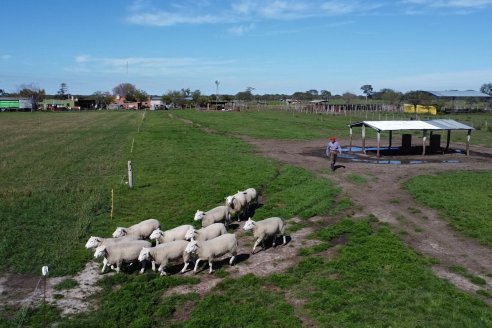 Visita a Cabaña Ovina  Las Tunas en Feliciano - Alta Calidad y Genetica de confianza