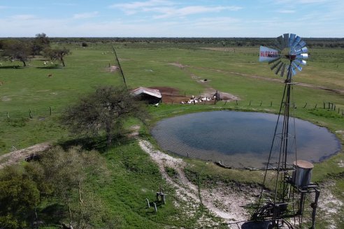 Visita a Cabaña Ovina  Las Tunas en Feliciano - Alta Calidad y Genetica de confianza