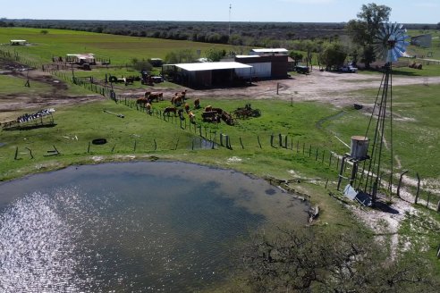 Visita a Cabaña Ovina  Las Tunas en Feliciano - Alta Calidad y Genetica de confianza