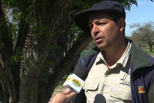 Visita a Cabaña Ovina  Las Tunas en Feliciano - Alta Calidad y Genetica de confianza