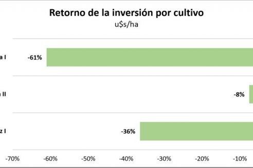 Midieron las pérdidas agrícolas en Entre Ríos, cultivo a cultivo