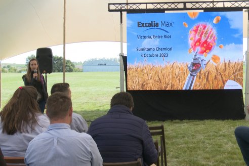 Jornada a Campo de Sumitomo-Chemical y Agrofe Campo - Presentación de Excalia Max en Victoria