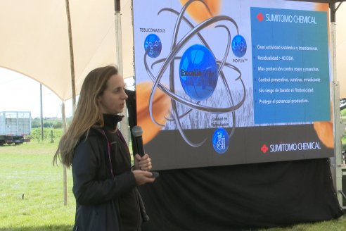 Jornada a Campo de Sumitomo-Chemical y Agrofe Campo - Presentación de Excalia Max en Victoria