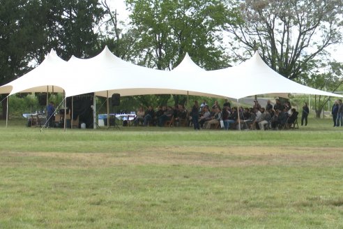 Jornada a Campo de Sumitomo-Chemical y Agrofe Campo - Presentación de Excalia Max en Victoria