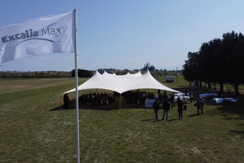 Jornada a Campo de Sumitomo-Chemical y Agrofe Campo - Presentación de Excalia Max en Victoria