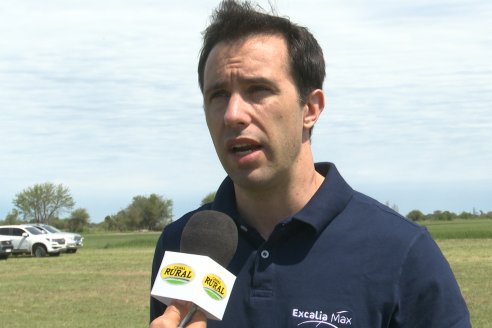 Jornada a Campo de Sumitomo-Chemical y Agrofe Campo - Presentación de Excalia Max en Victoria