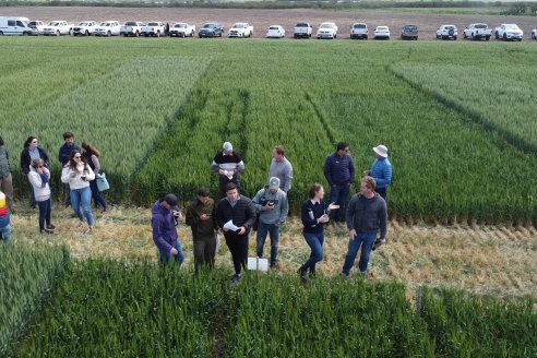 La sustentabilidad es el término que dominó la jornada técnica de Berardo Agropecuaria en lotes de Urdinarrain