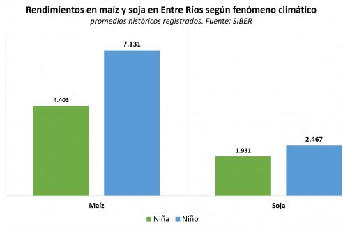 El margen del maíz de primera es de lo mejor en suelos entrerrianos