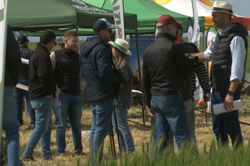 Urdinarrain: Jornada Demostrativa a Campo de Trigo 2023 de Berardo Agropecuaria