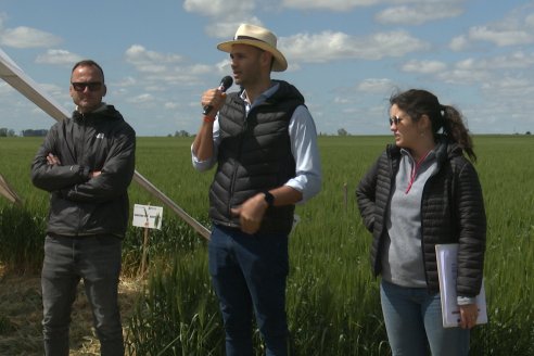 Urdinarrain: Jornada Demostrativa a Campo de Trigo 2023 de Berardo Agropecuaria