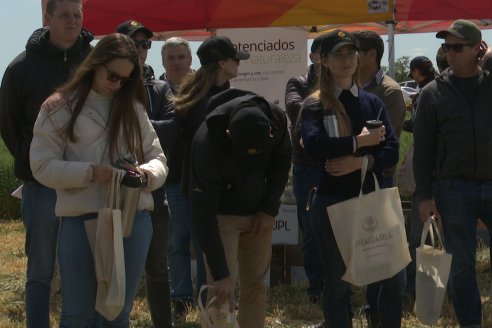 Urdinarrain: Jornada Demostrativa a Campo de Trigo 2023 de Berardo Agropecuaria