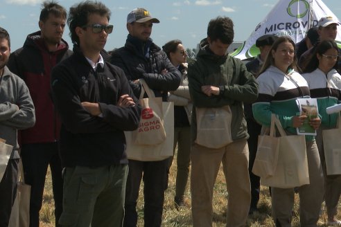 Urdinarrain: Jornada Demostrativa a Campo de Trigo 2023 de Berardo Agropecuaria