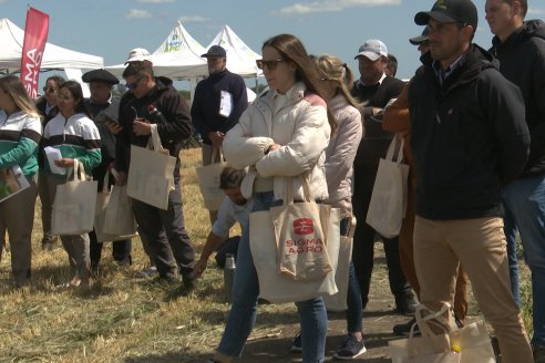 Urdinarrain: Jornada Demostrativa a Campo de Trigo 2023 de Berardo Agropecuaria