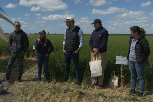 Urdinarrain: Jornada Demostrativa a Campo de Trigo 2023 de Berardo Agropecuaria