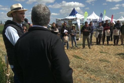 Urdinarrain: Jornada Demostrativa a Campo de Trigo 2023 de Berardo Agropecuaria