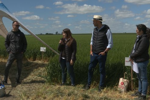 Urdinarrain: Jornada Demostrativa a Campo de Trigo 2023 de Berardo Agropecuaria