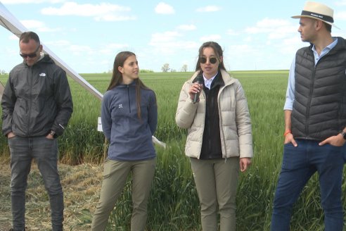 Urdinarrain: Jornada Demostrativa a Campo de Trigo 2023 de Berardo Agropecuaria