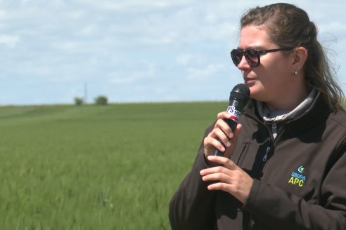 Urdinarrain: Jornada Demostrativa a Campo de Trigo 2023 de Berardo Agropecuaria