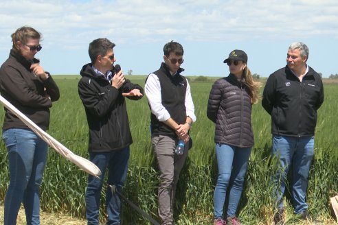 Urdinarrain: Jornada Demostrativa a Campo de Trigo 2023 de Berardo Agropecuaria