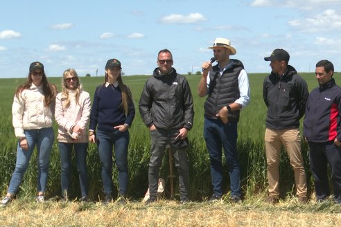 Urdinarrain: Jornada Demostrativa a Campo de Trigo 2023 de Berardo Agropecuaria